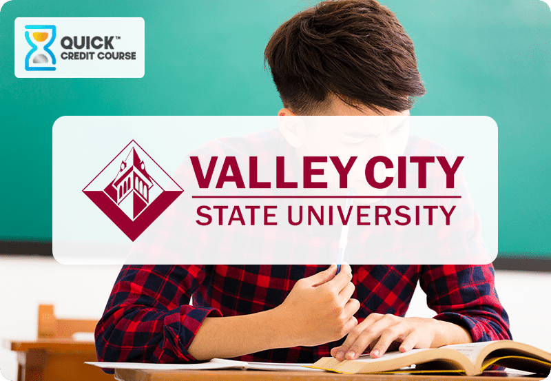 Behavior Strategies for Testing-VCSU-Icon