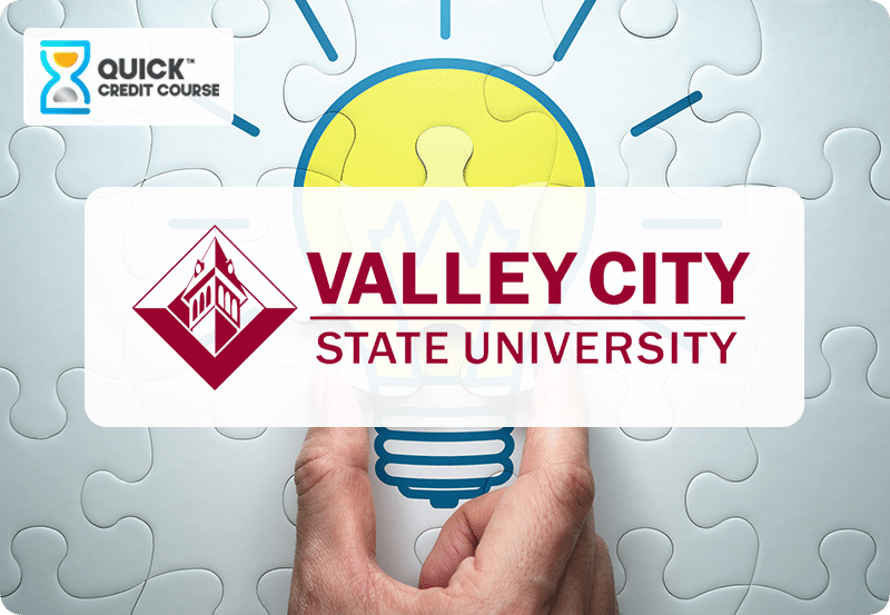 Logical Fallacies-VCSU-Icon