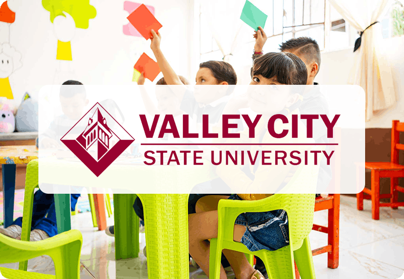 Developmental Theories-VCSU